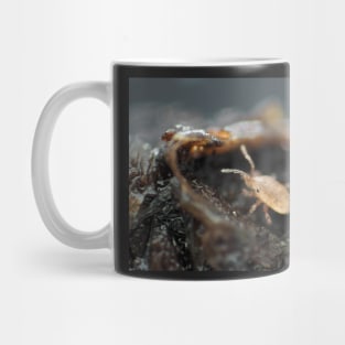 Tiny soil mite under the microscope Mug